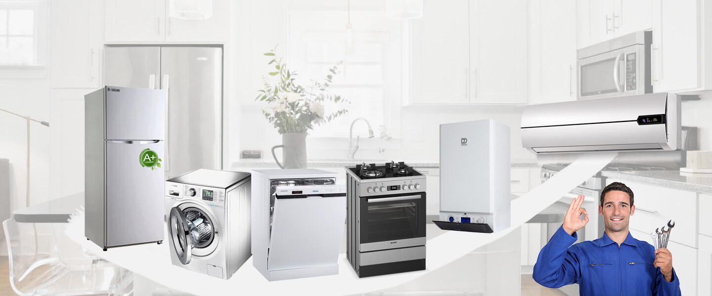 Menteşe Electrolux Servisi
